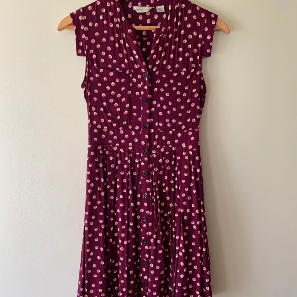 Anthropologie 11.1.TYLHO Polka Dot Button Down Dress XS